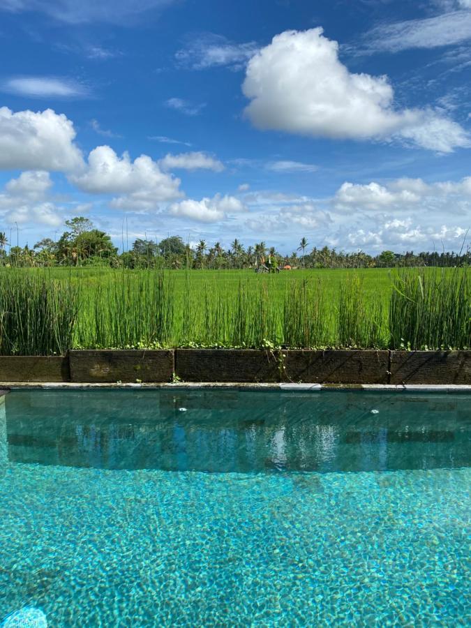 Casa Avana Ubud  Exterior photo