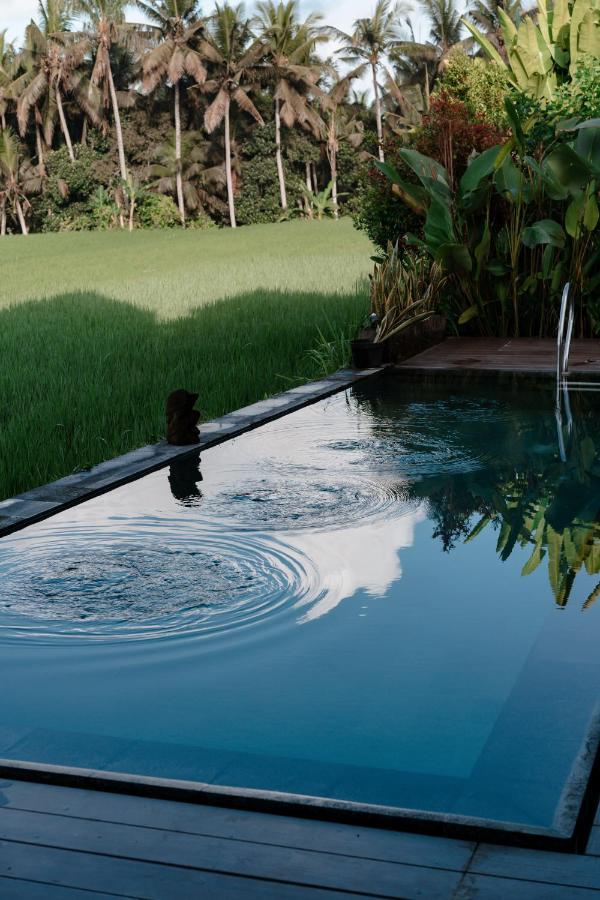 Casa Avana Ubud  Exterior photo